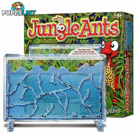 Jungle Ants - ETM4100