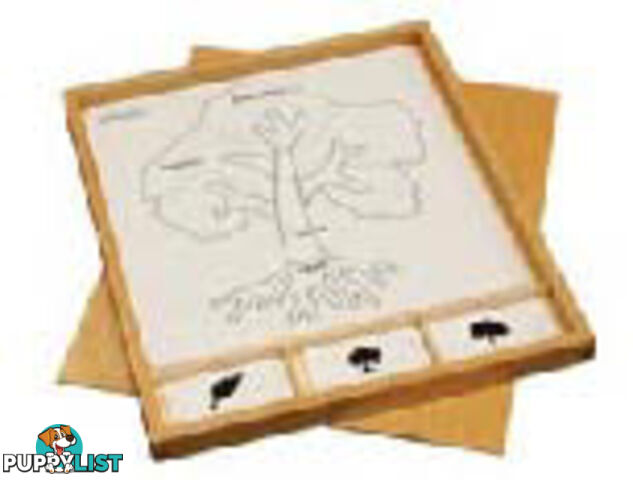 Botany Puzzle Activity Set - BO028.505900