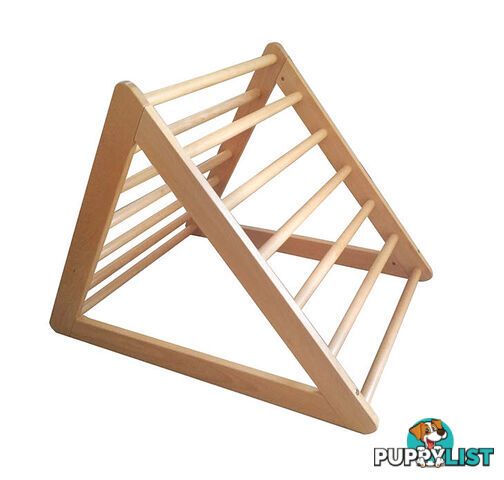 Gross Motor Equipment - F - The Pikler Triangle Ladder in Beech Wood - FTR007