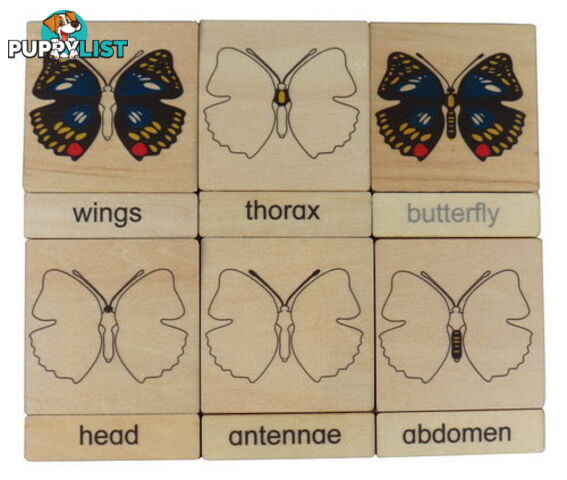 Classification 3 Part Timber Cards - Butterfly Parts - LA46430