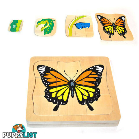 Development 4 Stage Puzzle - Butterfly - BO051