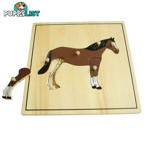 Horse & Skeleton Puzzle - BO50173.506150