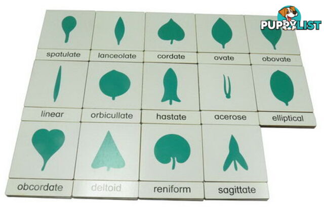 Classification 3 Part Timber Cards - Botany - LA46414