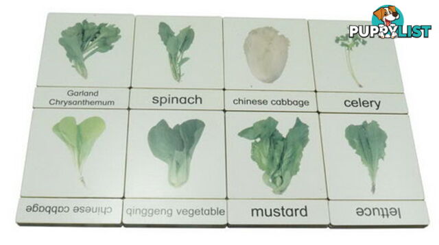 Classification 3 Part Timber Cards - Vegetables No2 - ALA46404