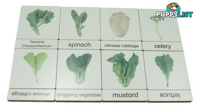 Classification 3 Part Timber Cards - Vegetables No2 - LA46404