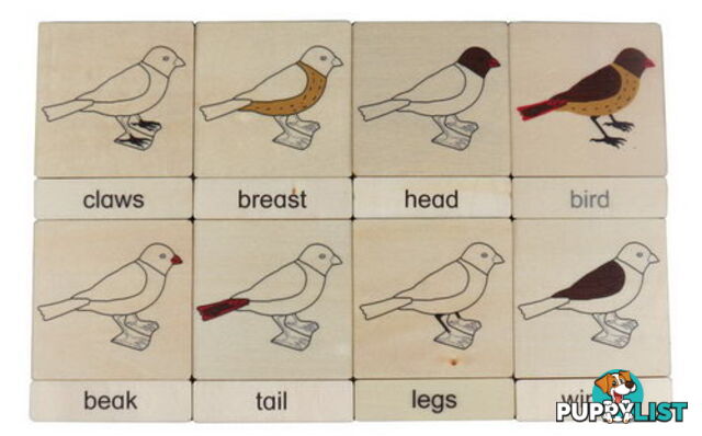 Classification 3 Part Timber Cards - Bird Parts - LA46427