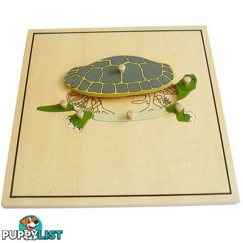 Turtle & Skeleton Puzzle, - BO50170.506450