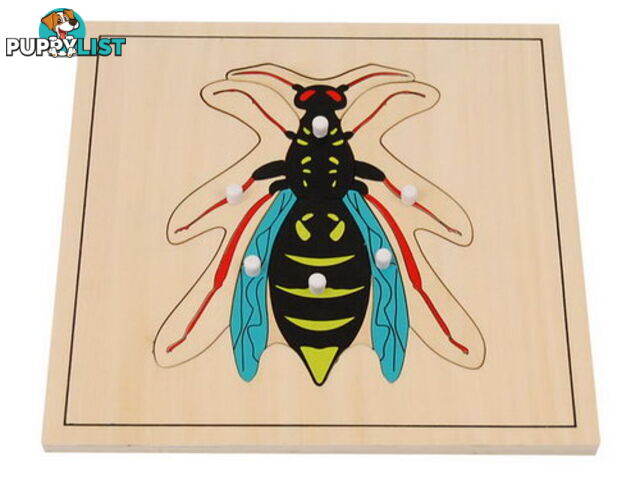 Wasp Puzzle - BO023.506825