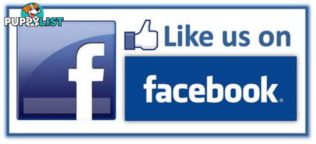 "Like" us on Facebook then select this item for a 5% discount on any full priced item - Facebook Like