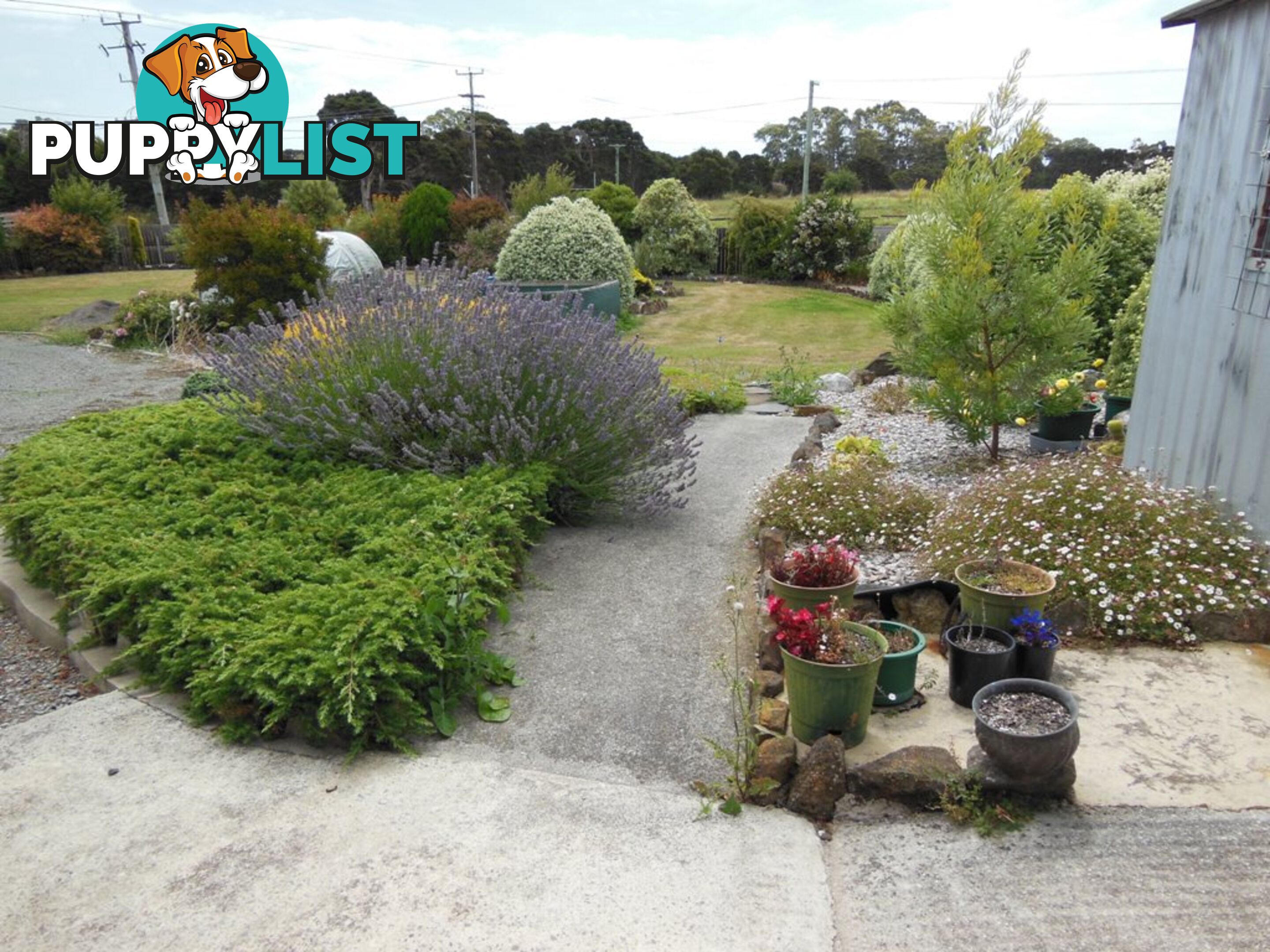 1 Lette Street Smithton, TAS 7330