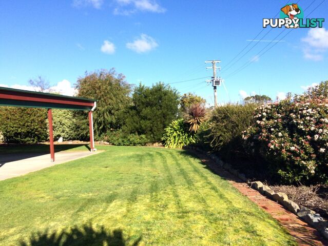 19 Poke Street Smithton, TAS 7330