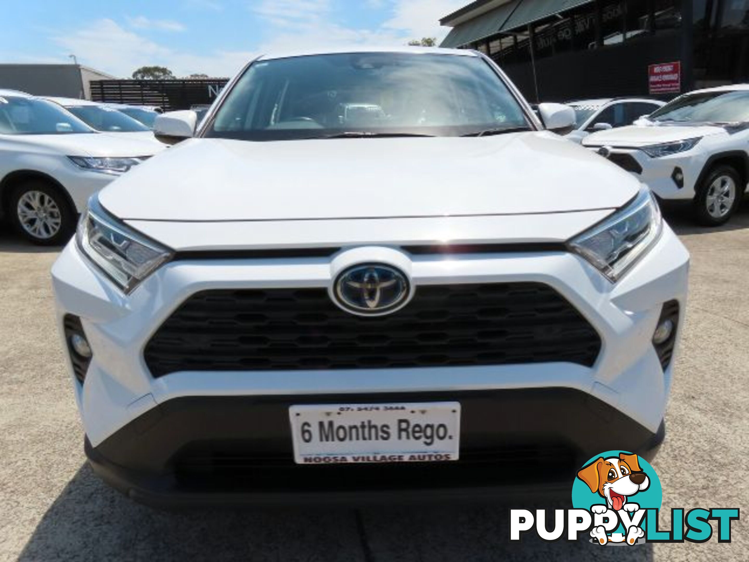 2021 TOYOTA RAV4 GX-HYBRID-AXAH52R  WAGON