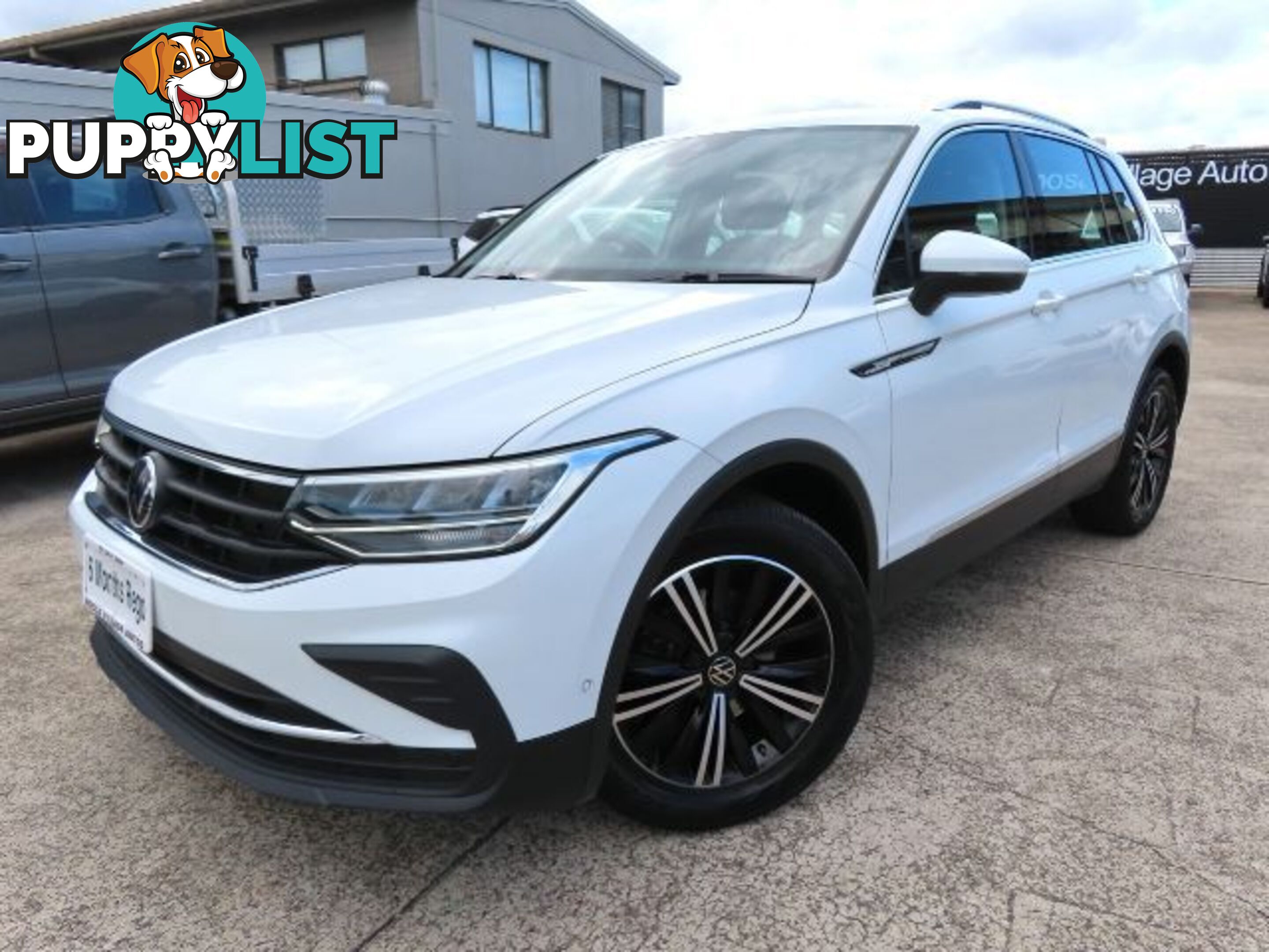 2023 VOLKSWAGEN TIGUAN 110TSI-LIFE-5N-MY23  WAGON