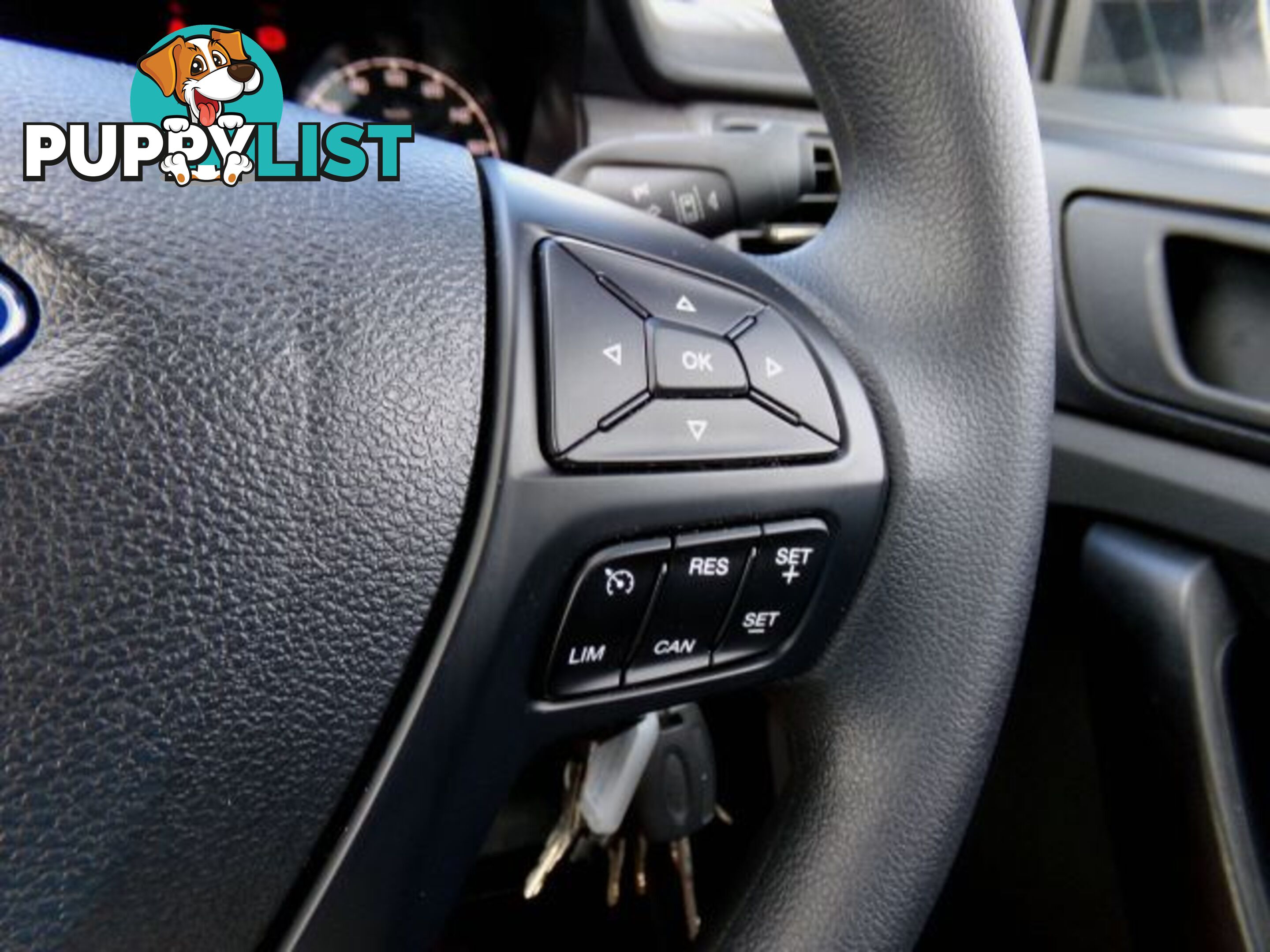2021 FORD RANGER XL-DUAL-CAB-PX-MKIII-MY21-25  UTILITY