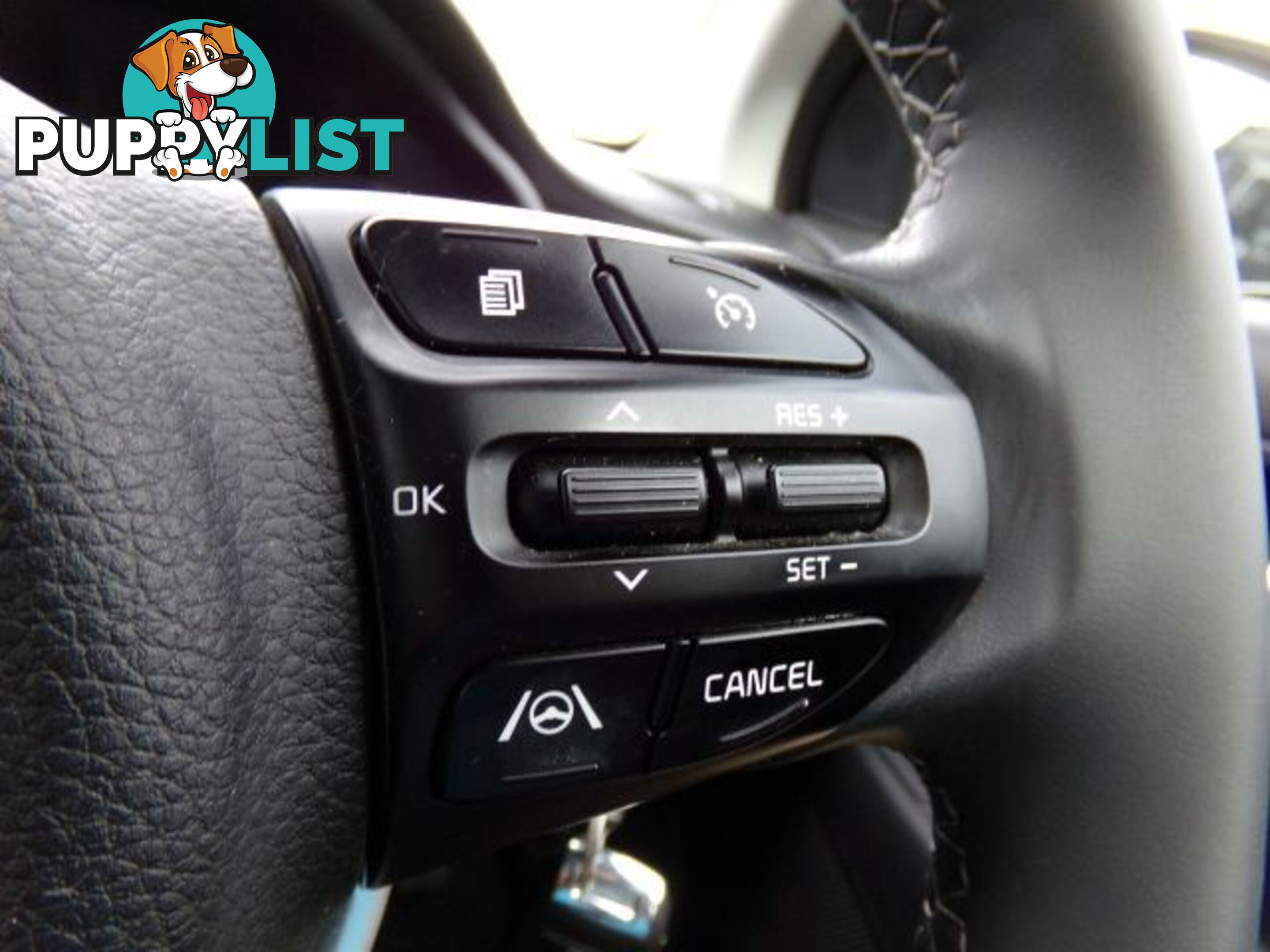 2021 KIA RIO SPORT-YB-MY22  HATCHBACK