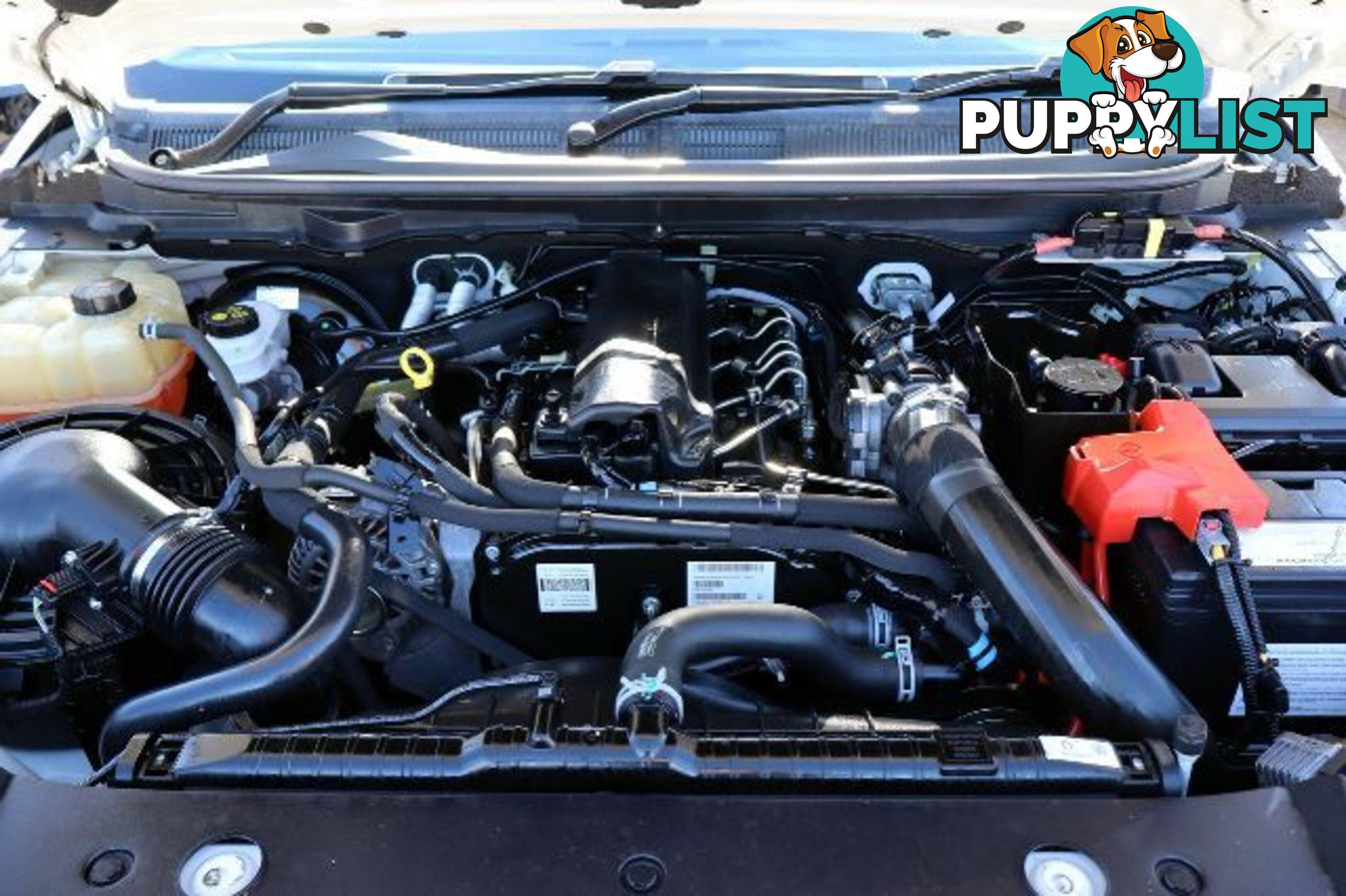 2021 FORD RANGER XL-DUAL-CAB-PX-MKIII-MY21-25  UTILITY