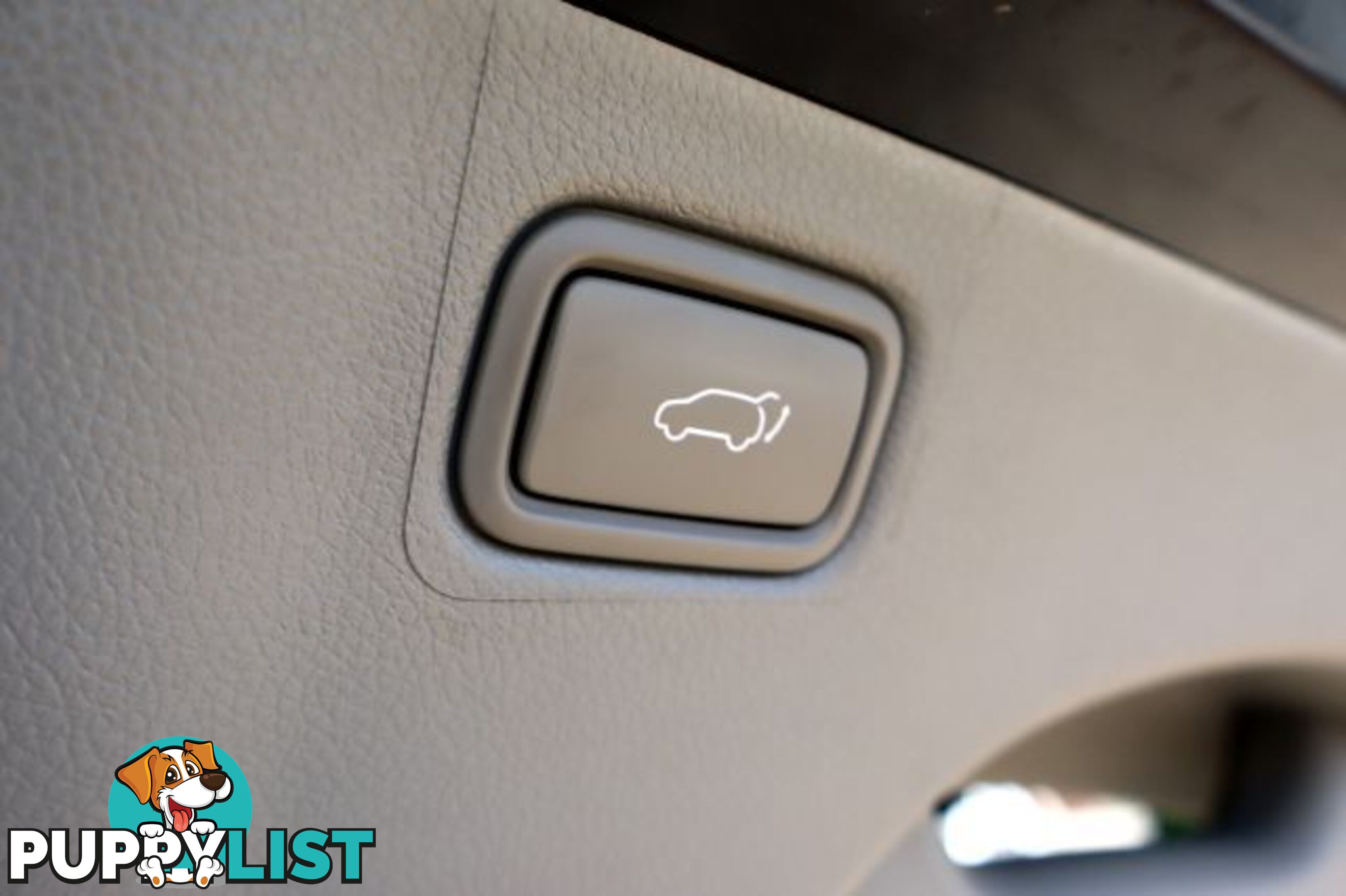 2019 KIA CARNIVAL SLI-YP-MY20  WAGON