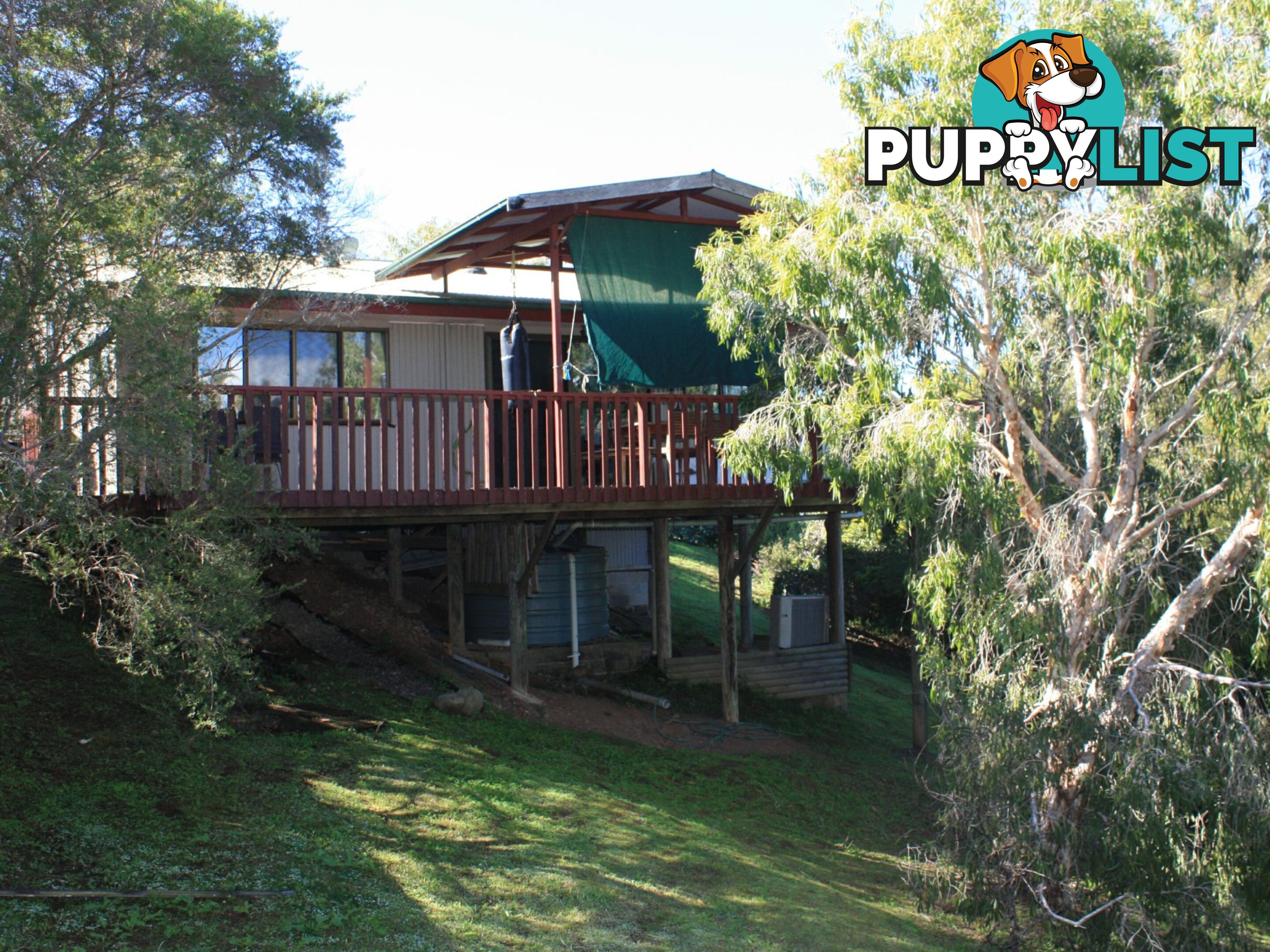 23 Warrambool Road OCEAN SHORES NSW 2483