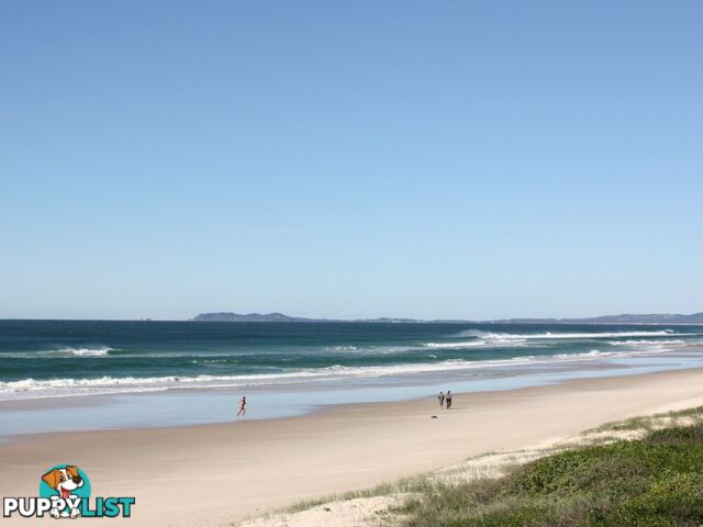 25 Royal Avenue SOUTH GOLDEN BEACH NSW 2483