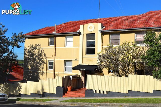 4/383 Maroubra Road MAROUBRA NSW 2035