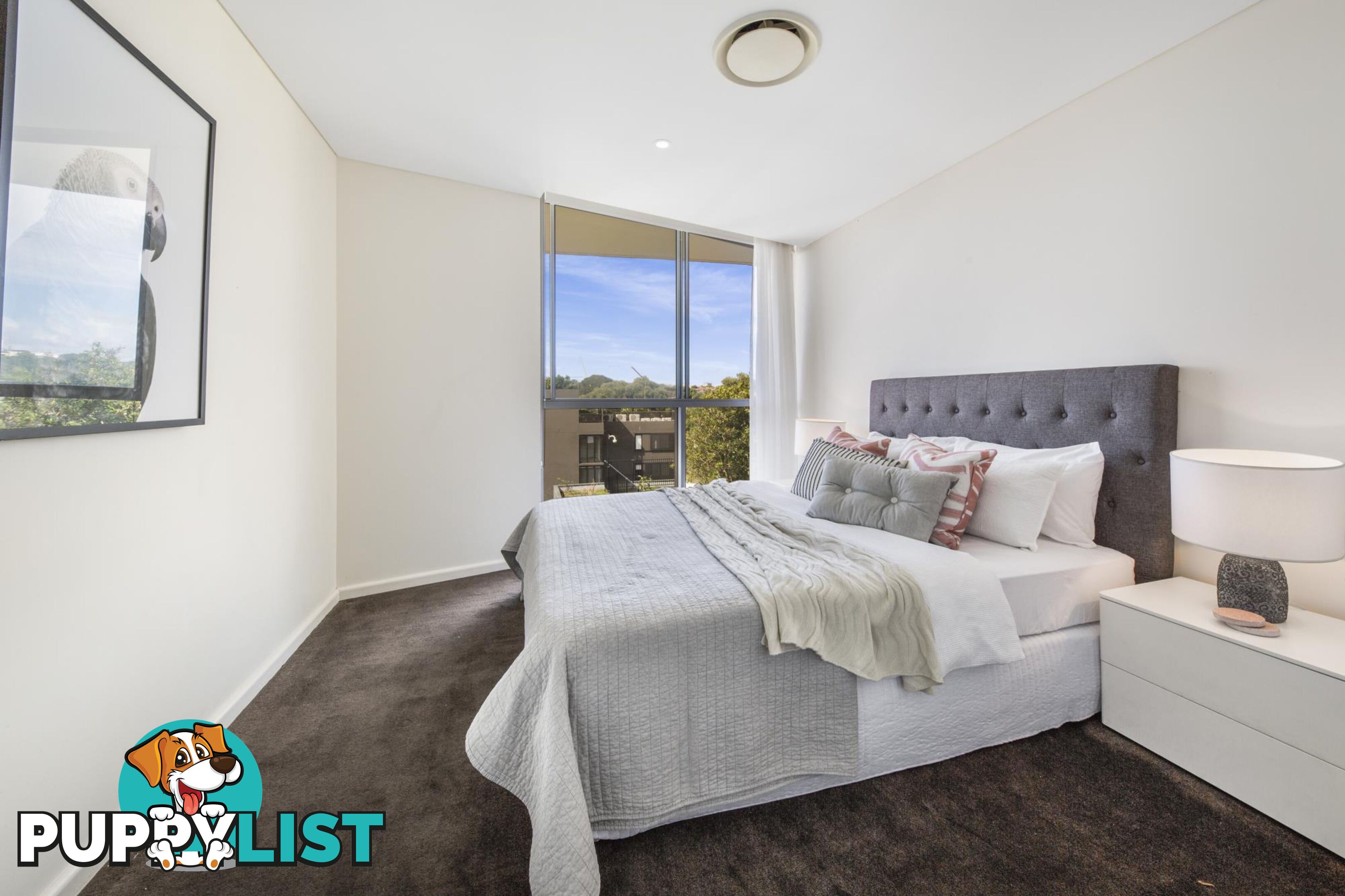 505/9-15 Ascot Street KENSINGTON NSW 2033