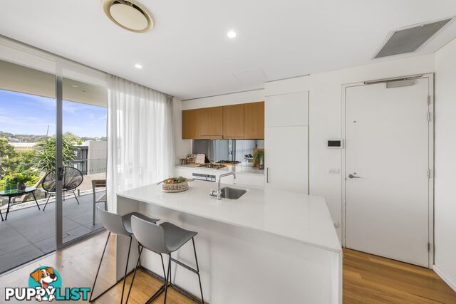 505/9-15 Ascot Street KENSINGTON NSW 2033