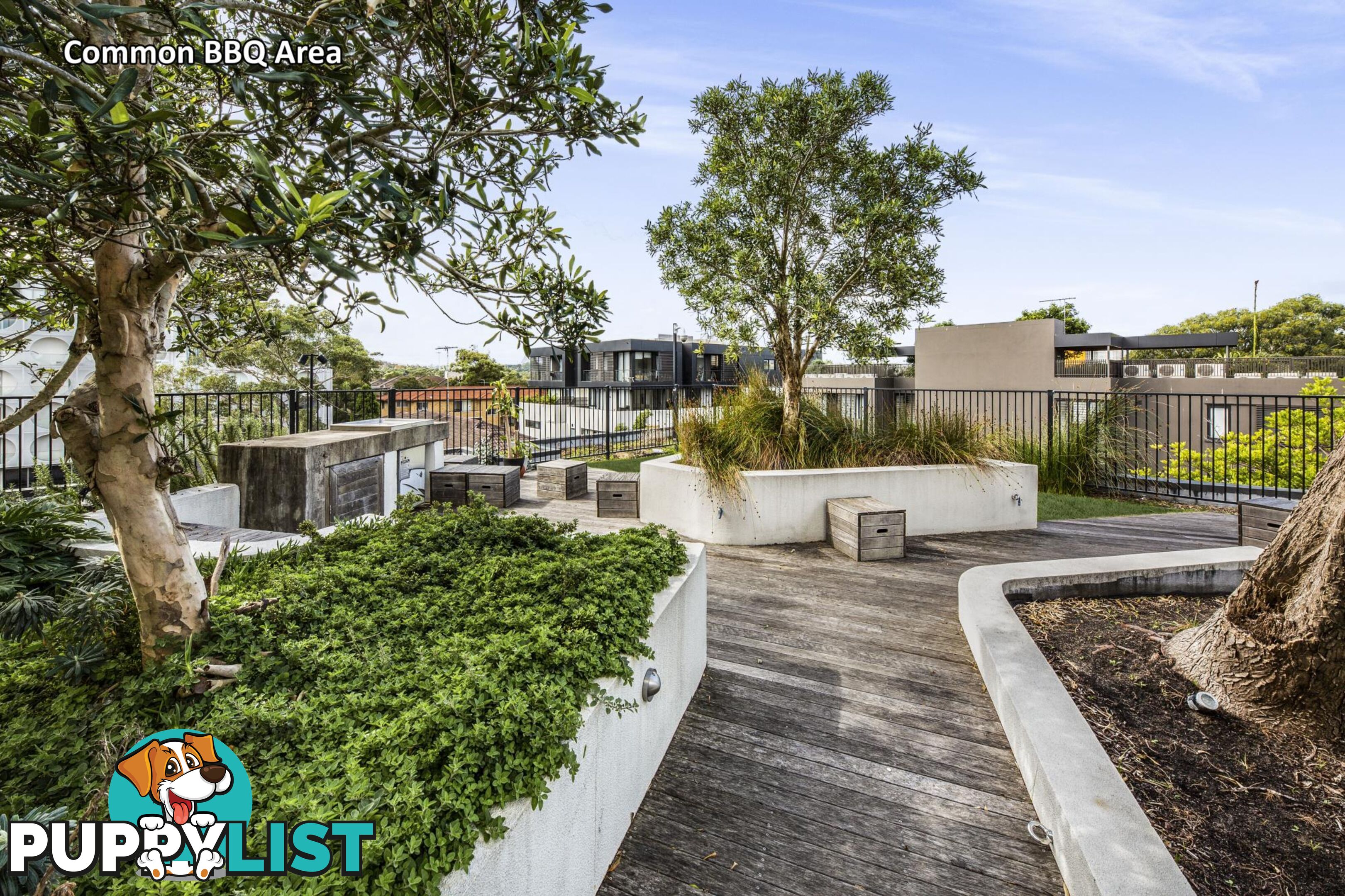 505/9-15 Ascot Street KENSINGTON NSW 2033