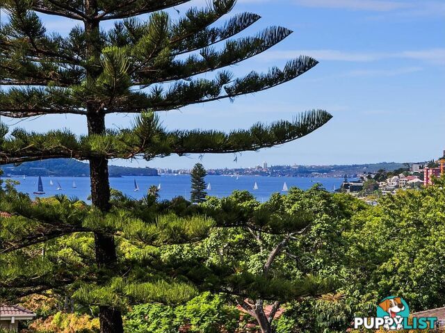 8/8 Ocean Avenue DOUBLE BAY NSW 2028