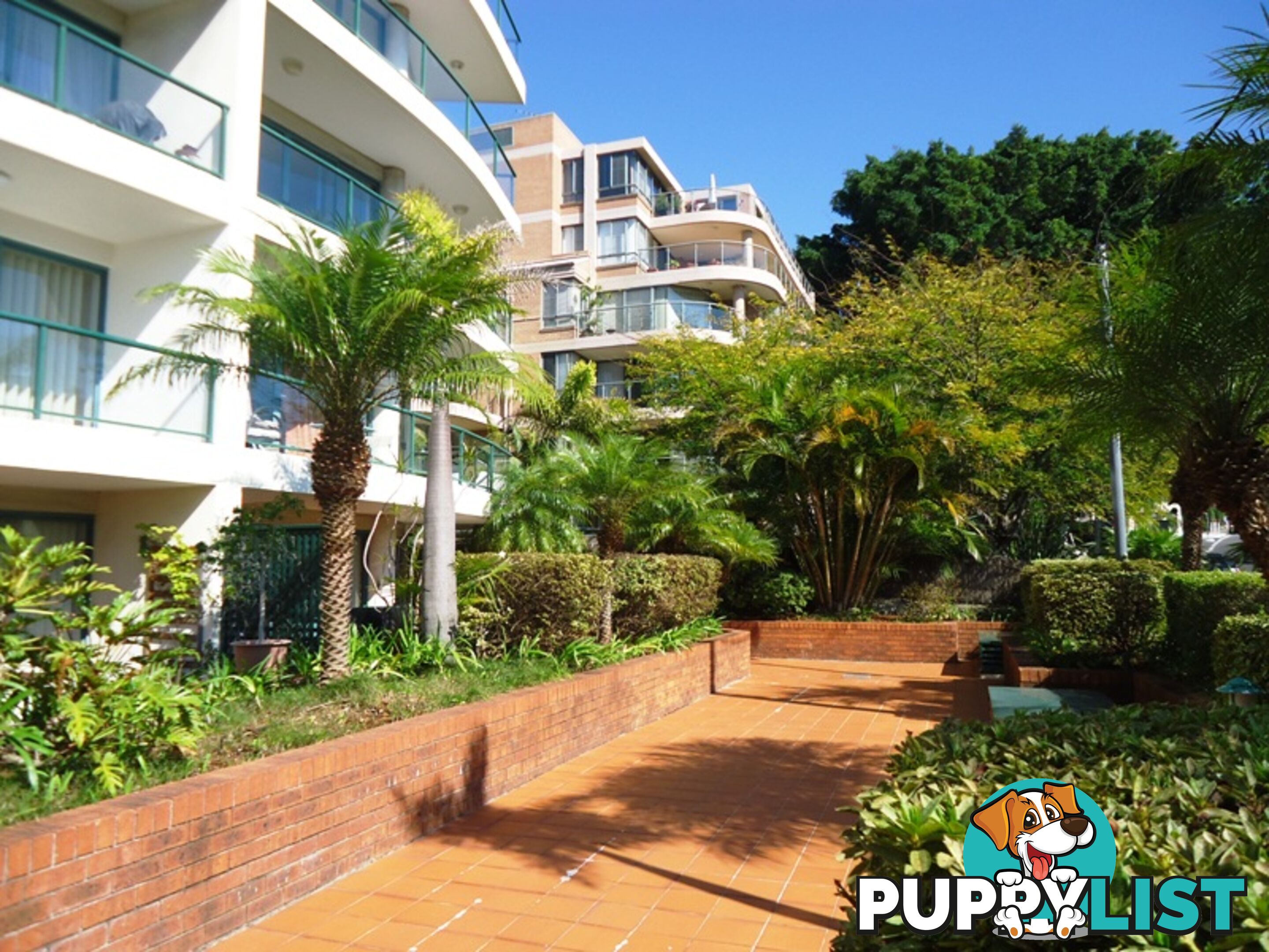 8/65 Coogee Bay Road COOGEE NSW 2034