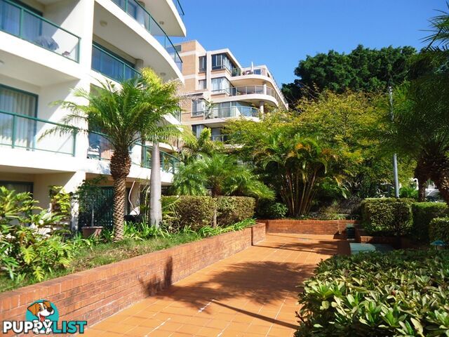 8/65 Coogee Bay Road COOGEE NSW 2034