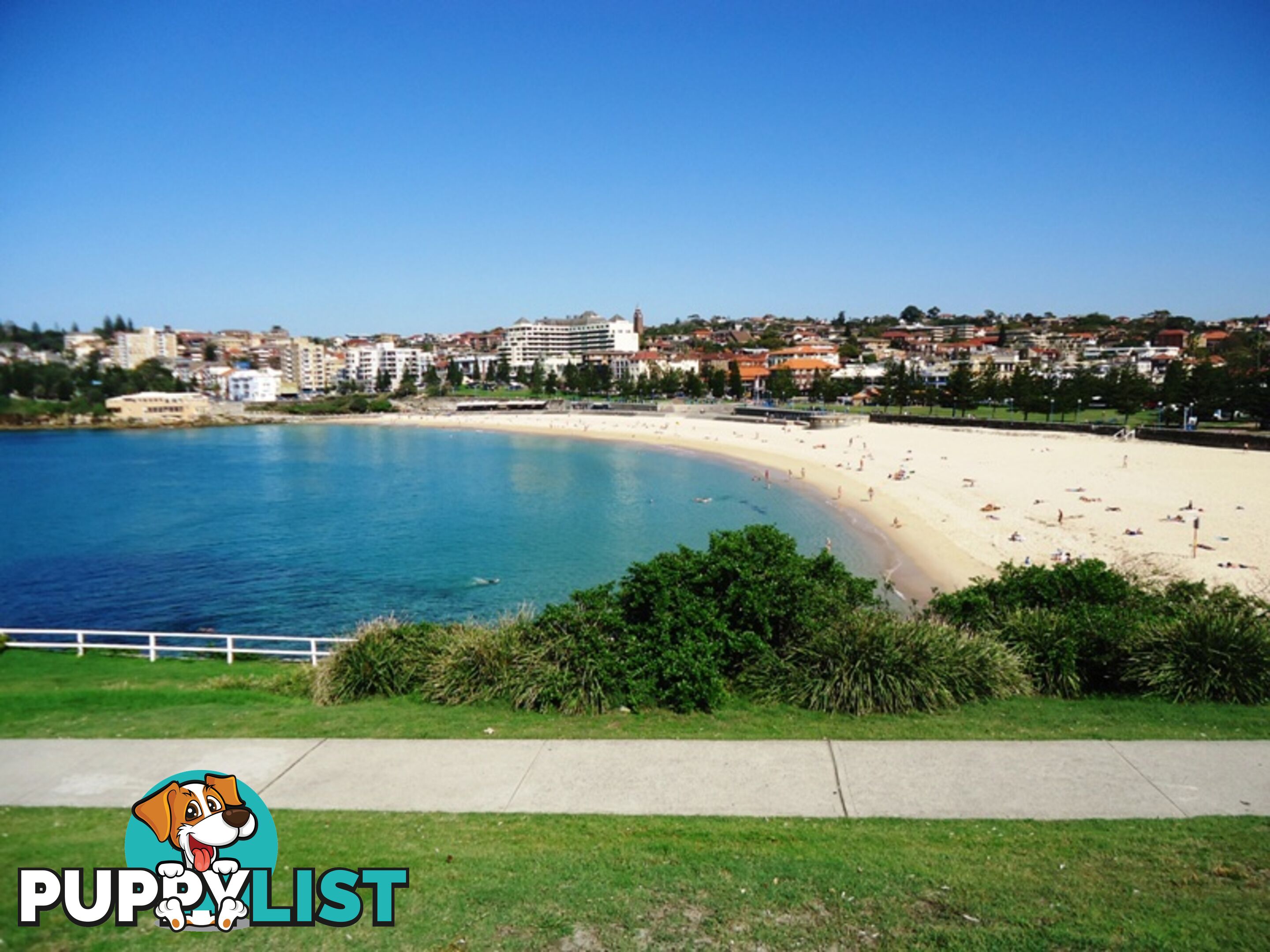 8/65 Coogee Bay Road COOGEE NSW 2034