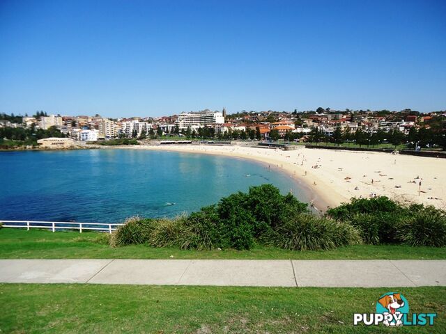 8/65 Coogee Bay Road COOGEE NSW 2034