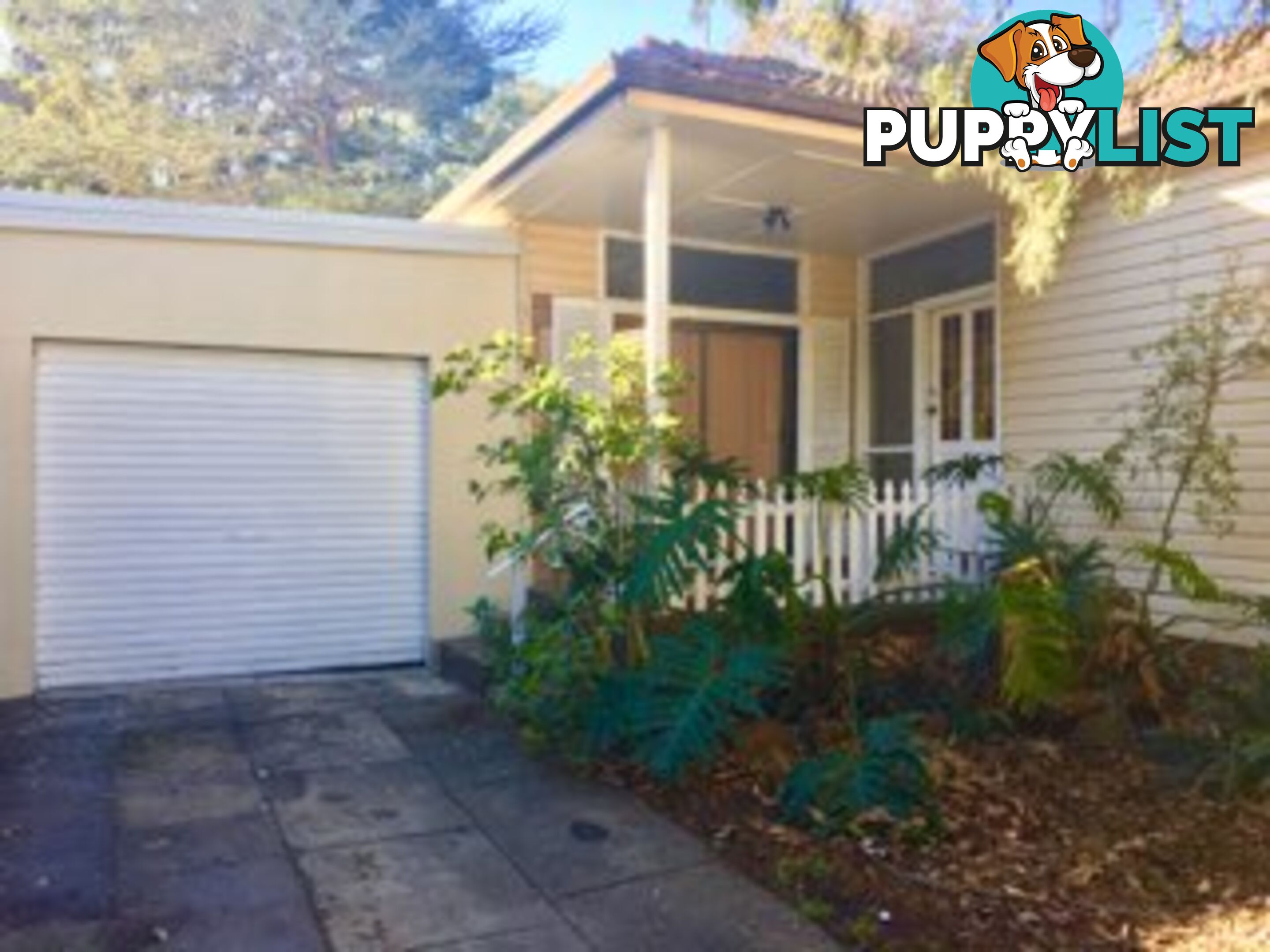 39 Glamis Street KINGSGROVE NSW 2208