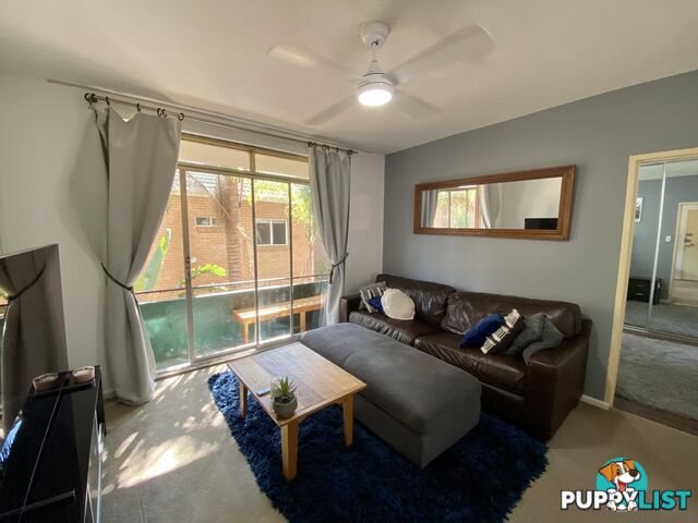 4/28 Maroubra Road MAROUBRA NSW 2035