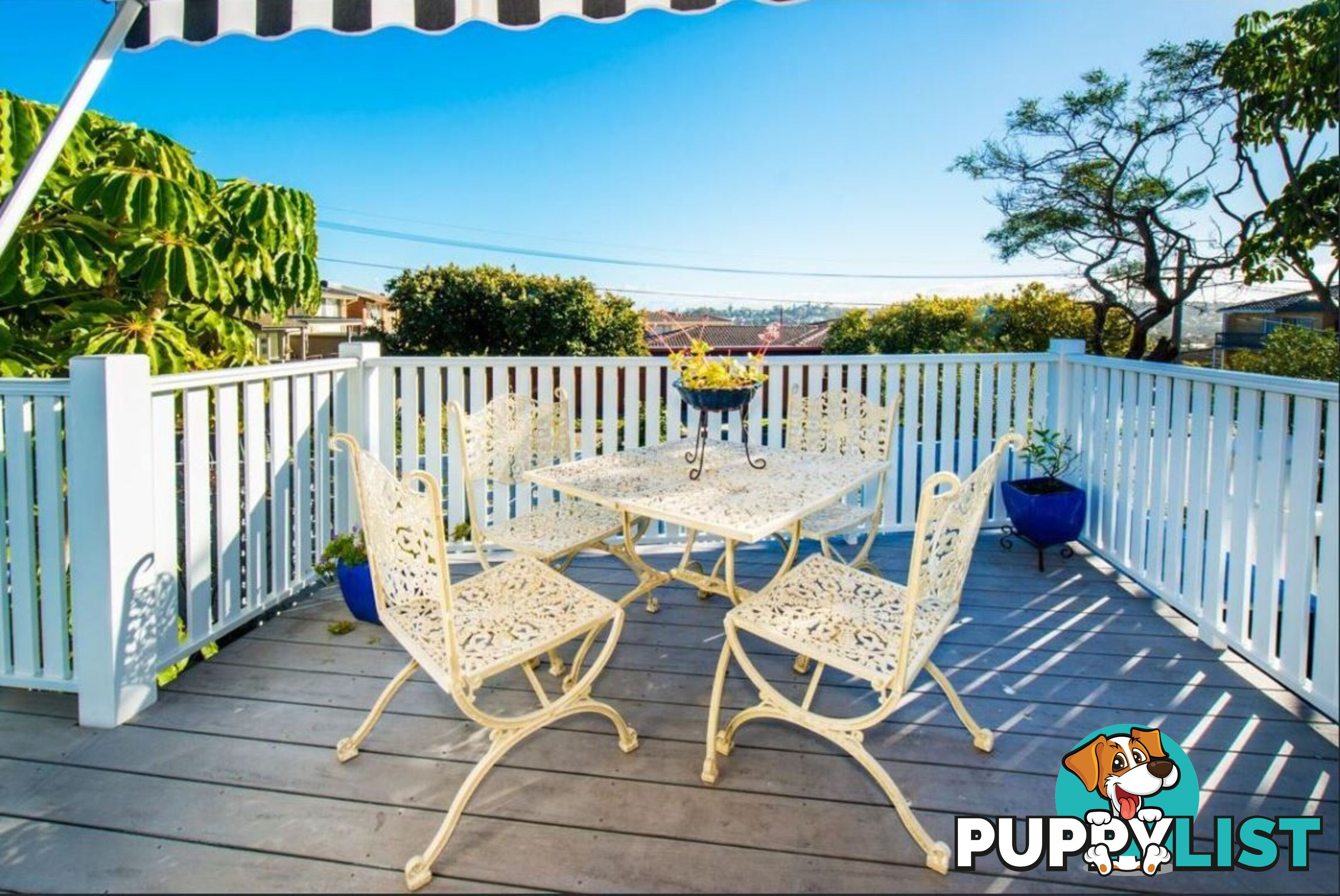 19 Rodman Avenue MAROUBRA NSW 2035