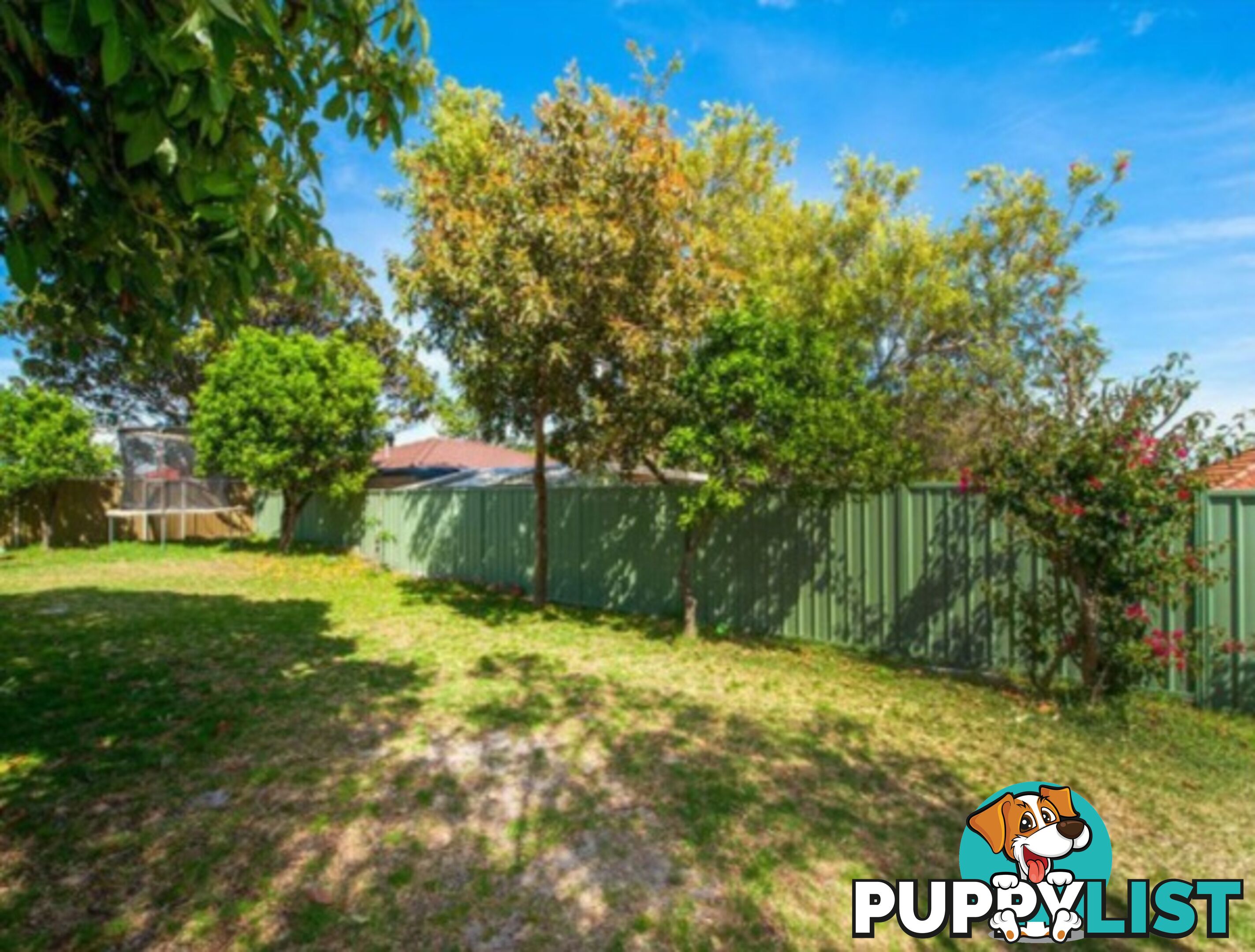 27 Walenore Avenue KINGSFORD NSW 2032