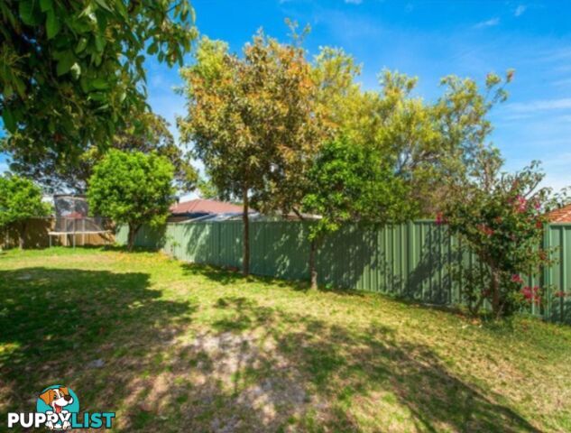 27 Walenore Avenue KINGSFORD NSW 2032