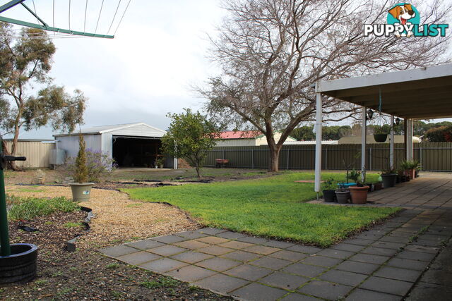 56 Hanson Street Freeling SA 5372