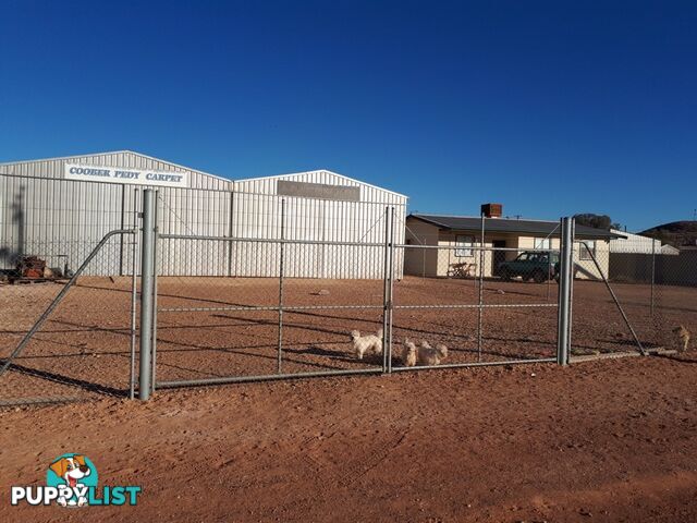 LOT 92 SEVENTEEN MILE ROAD Coober Pedy SA 5723