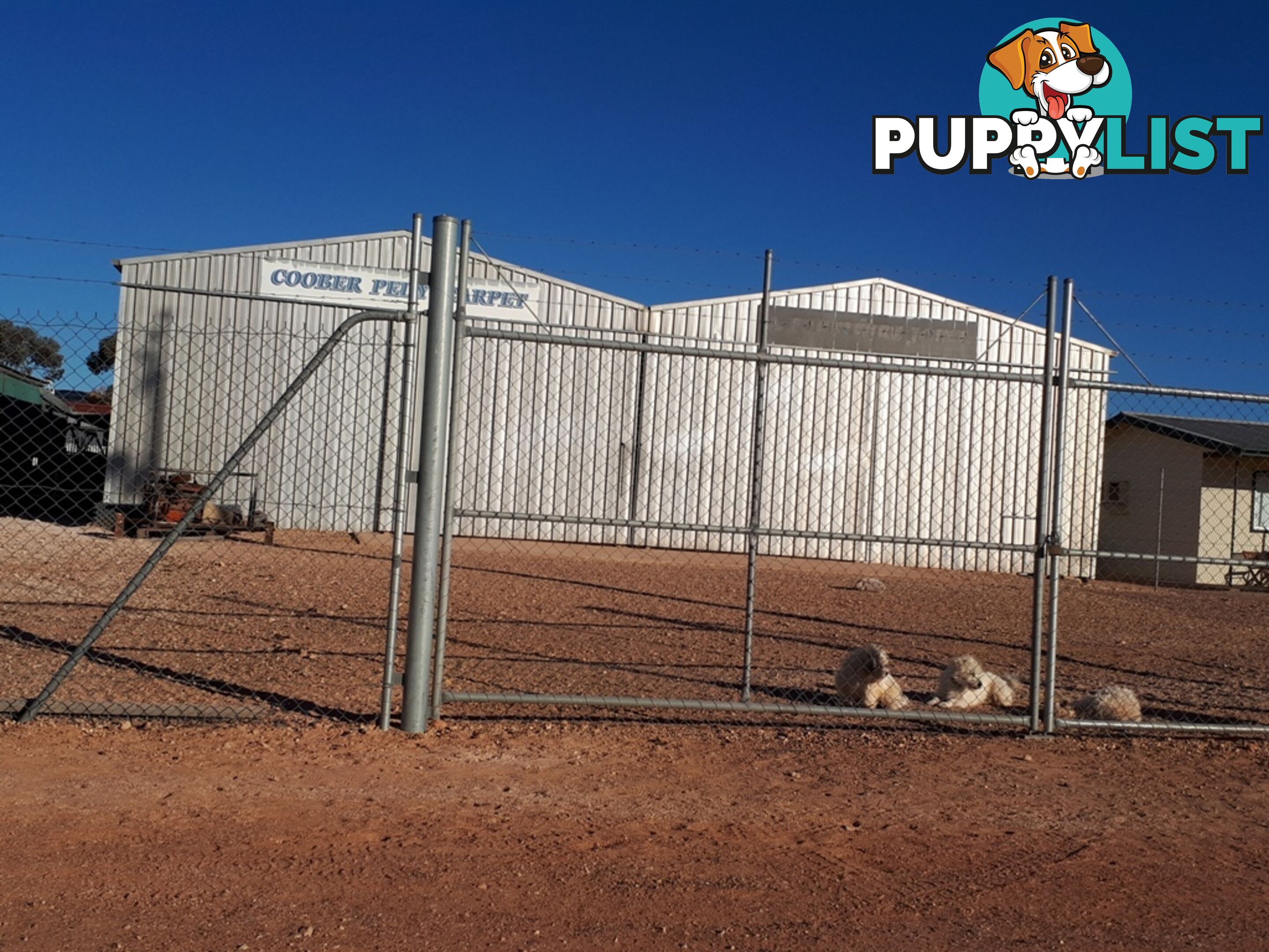 LOT 92 SEVENTEEN MILE ROAD Coober Pedy SA 5723