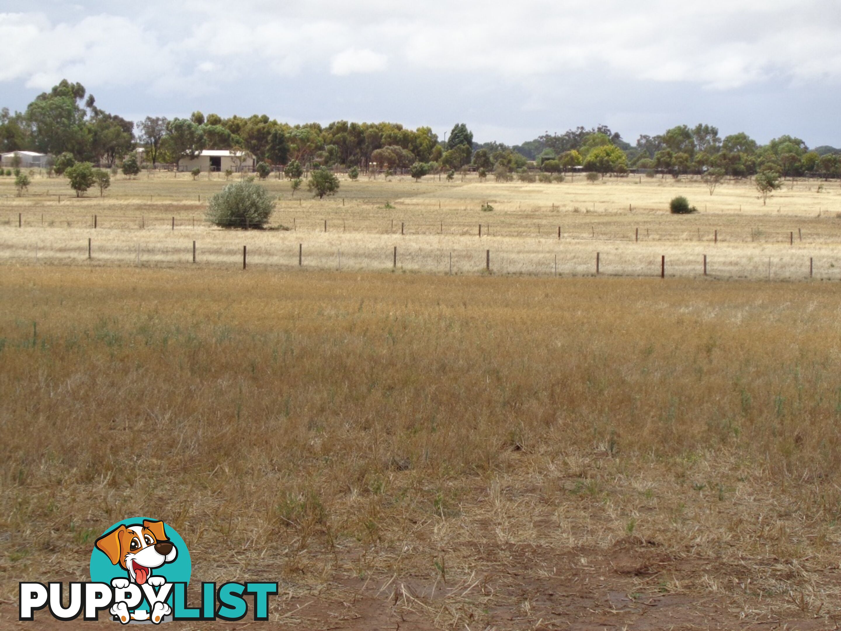 Lot 1, 102 Parkers Road Gawler Belt SA 5118