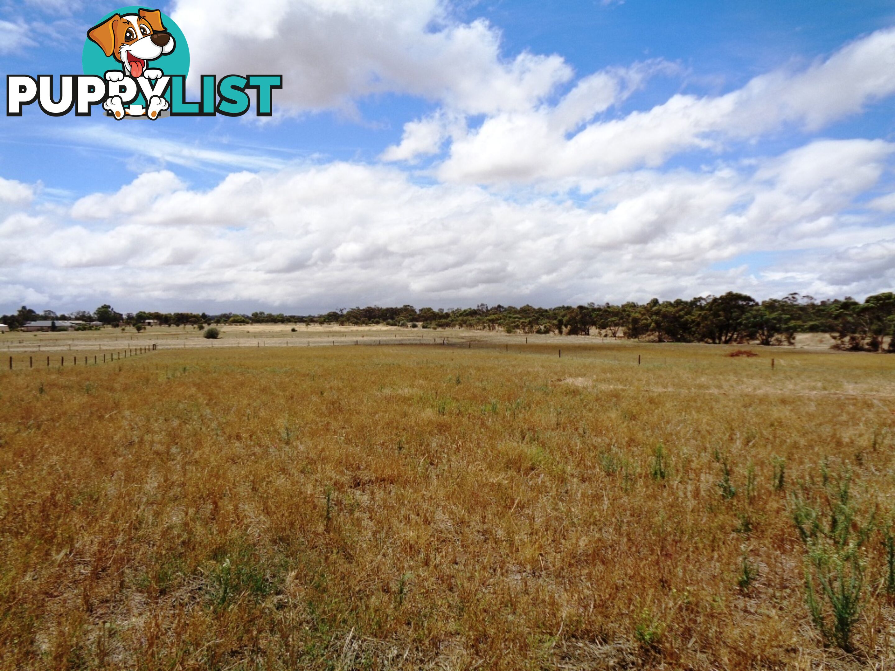 Lot 1, 102 Parkers Road Gawler Belt SA 5118