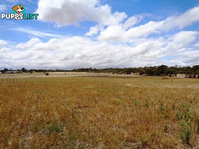 Lot 1, 102 Parkers Road Gawler Belt SA 5118