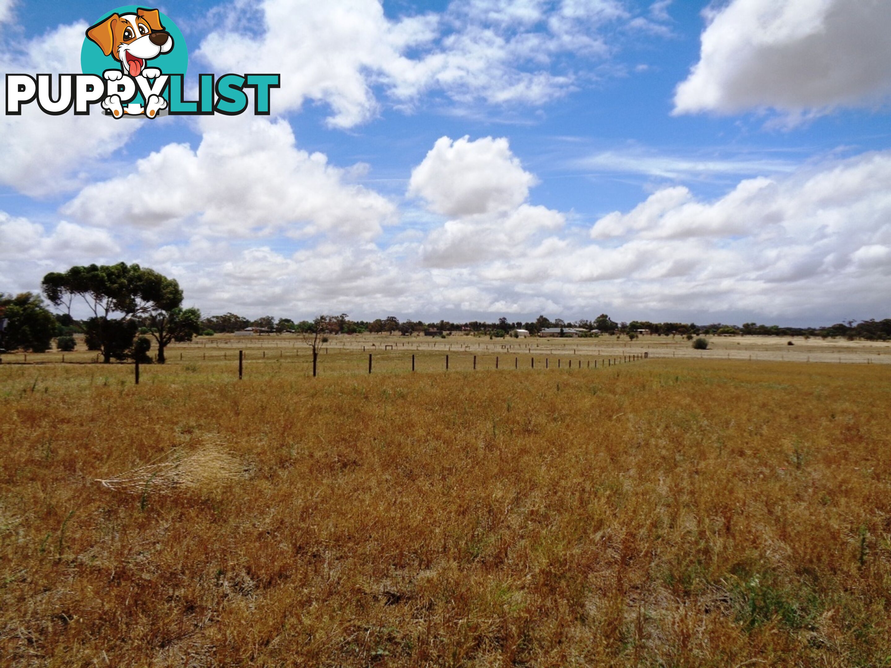 Lot 1, 102 Parkers Road Gawler Belt SA 5118