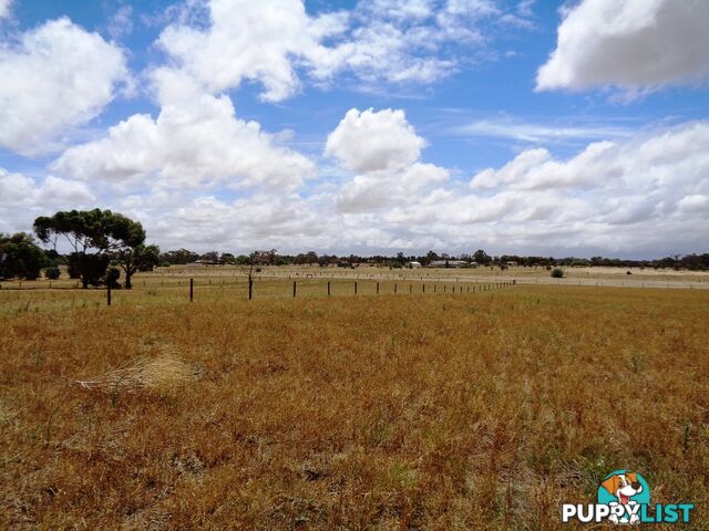 Lot 1, 102 Parkers Road Gawler Belt SA 5118