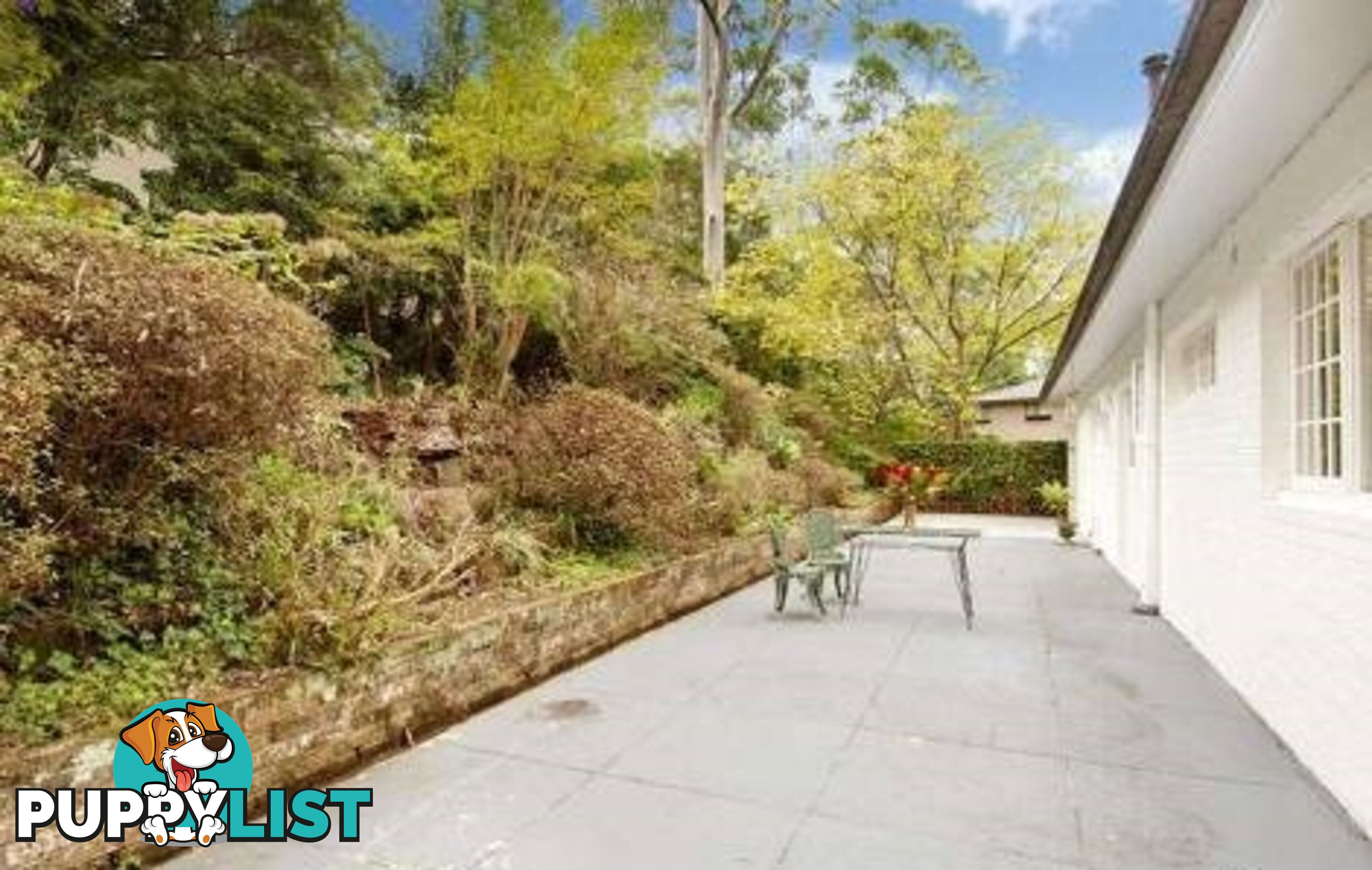 11 Dennis Ave WAHROONGA NSW 2076