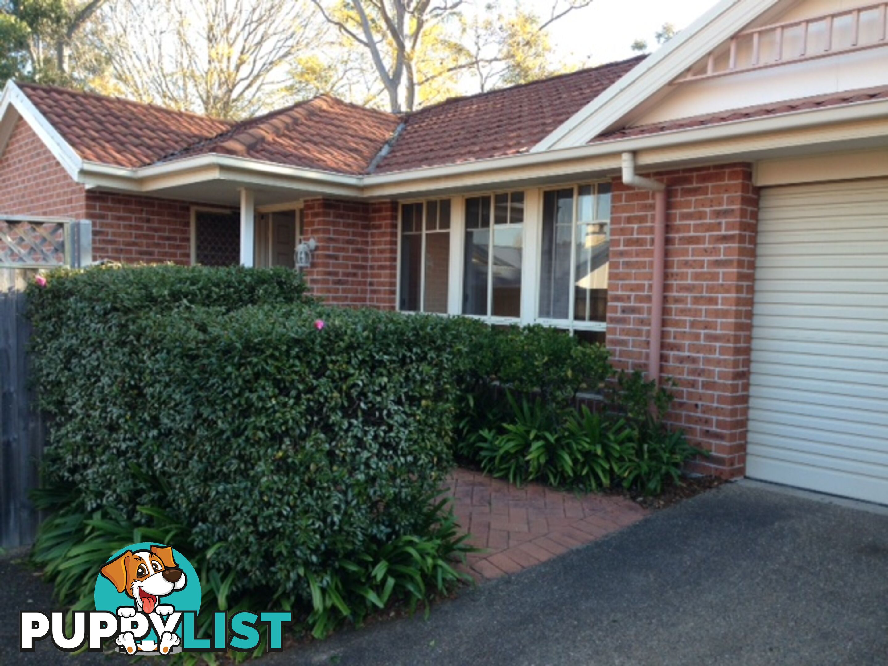 14A Citrus Avenue HORNSBY NSW 2077