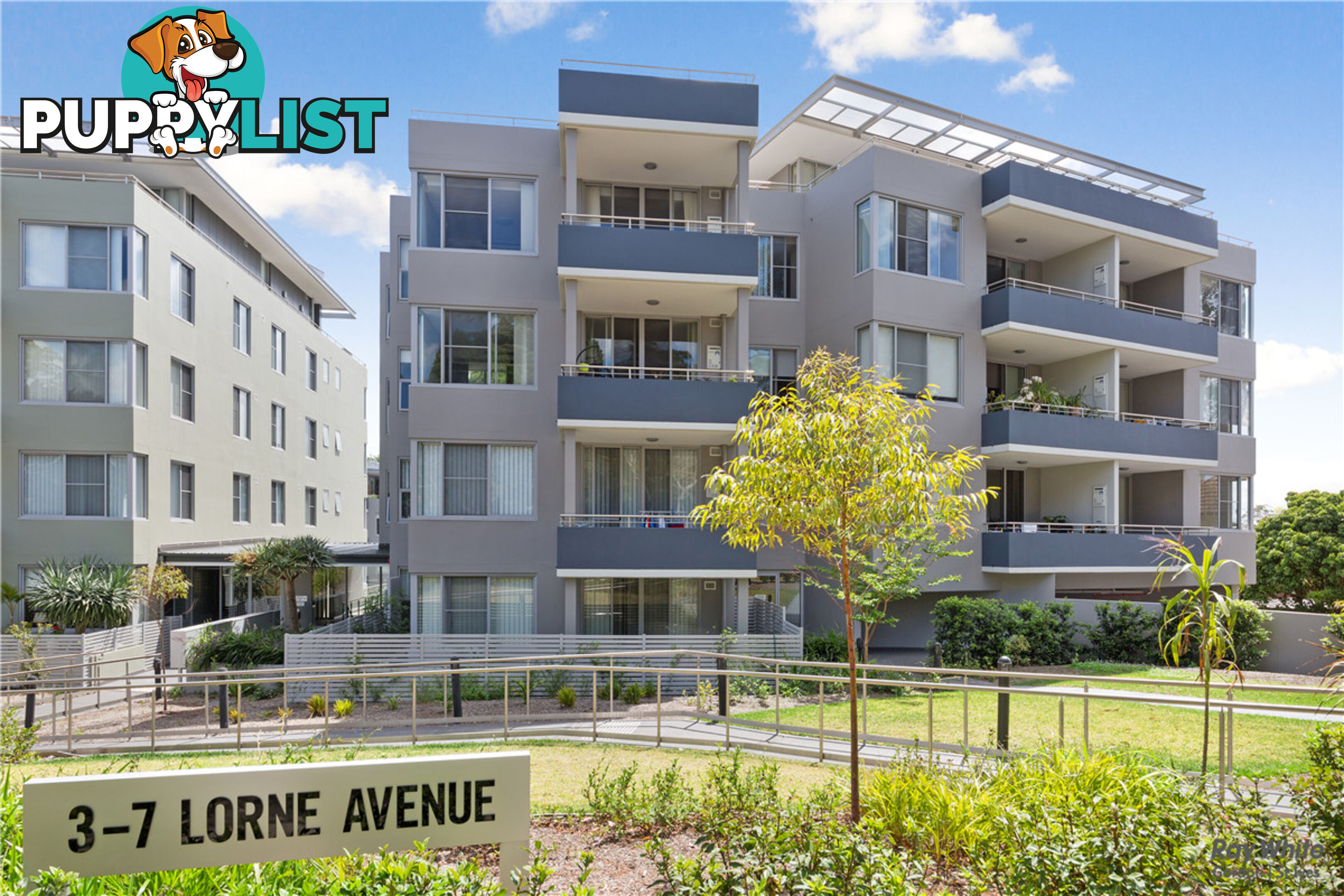 C203/3-7 Lorne Avenue KILLARA NSW 2071