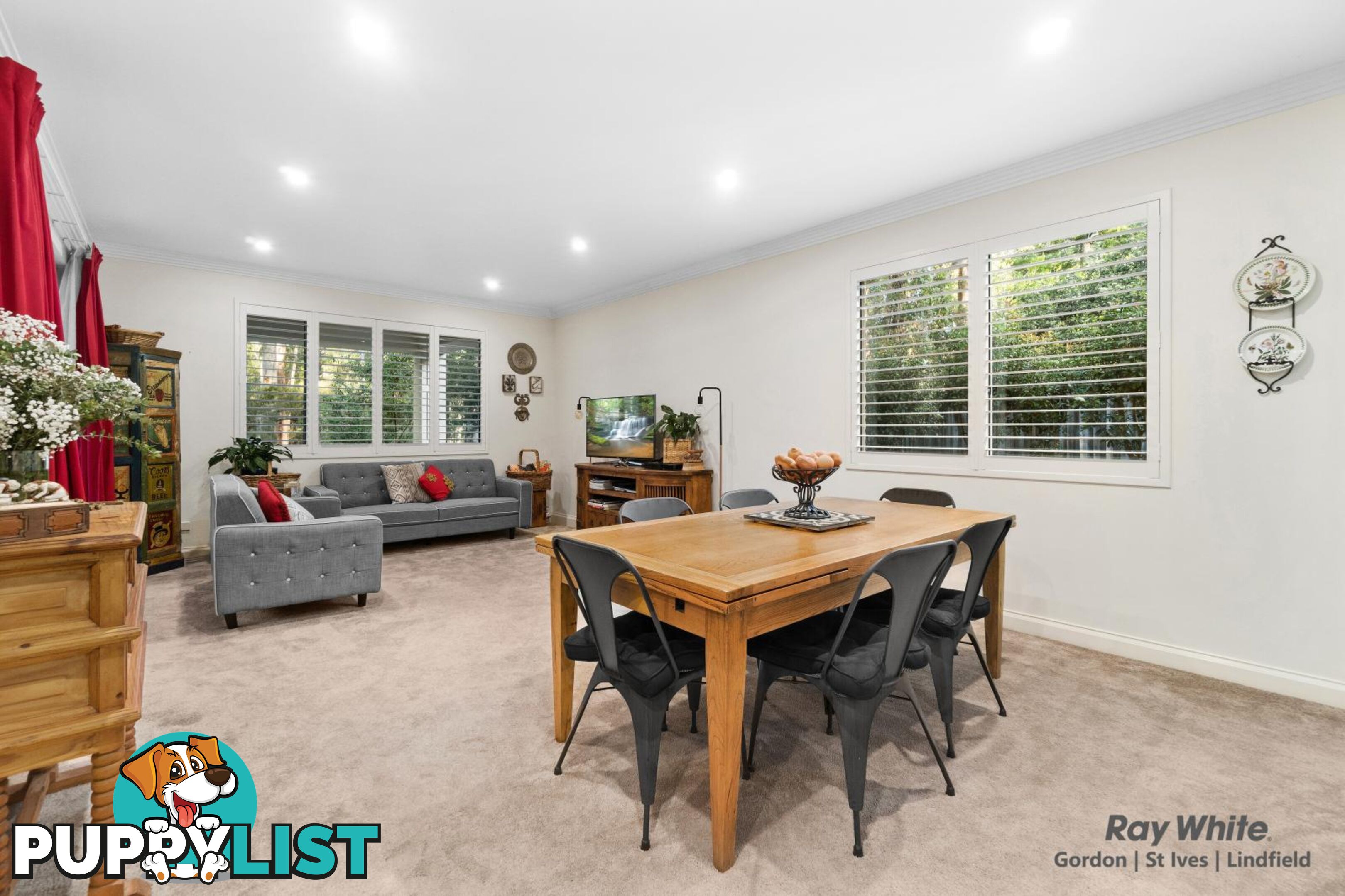 2/125-127 Mona Vale Road ST IVES NSW 2075