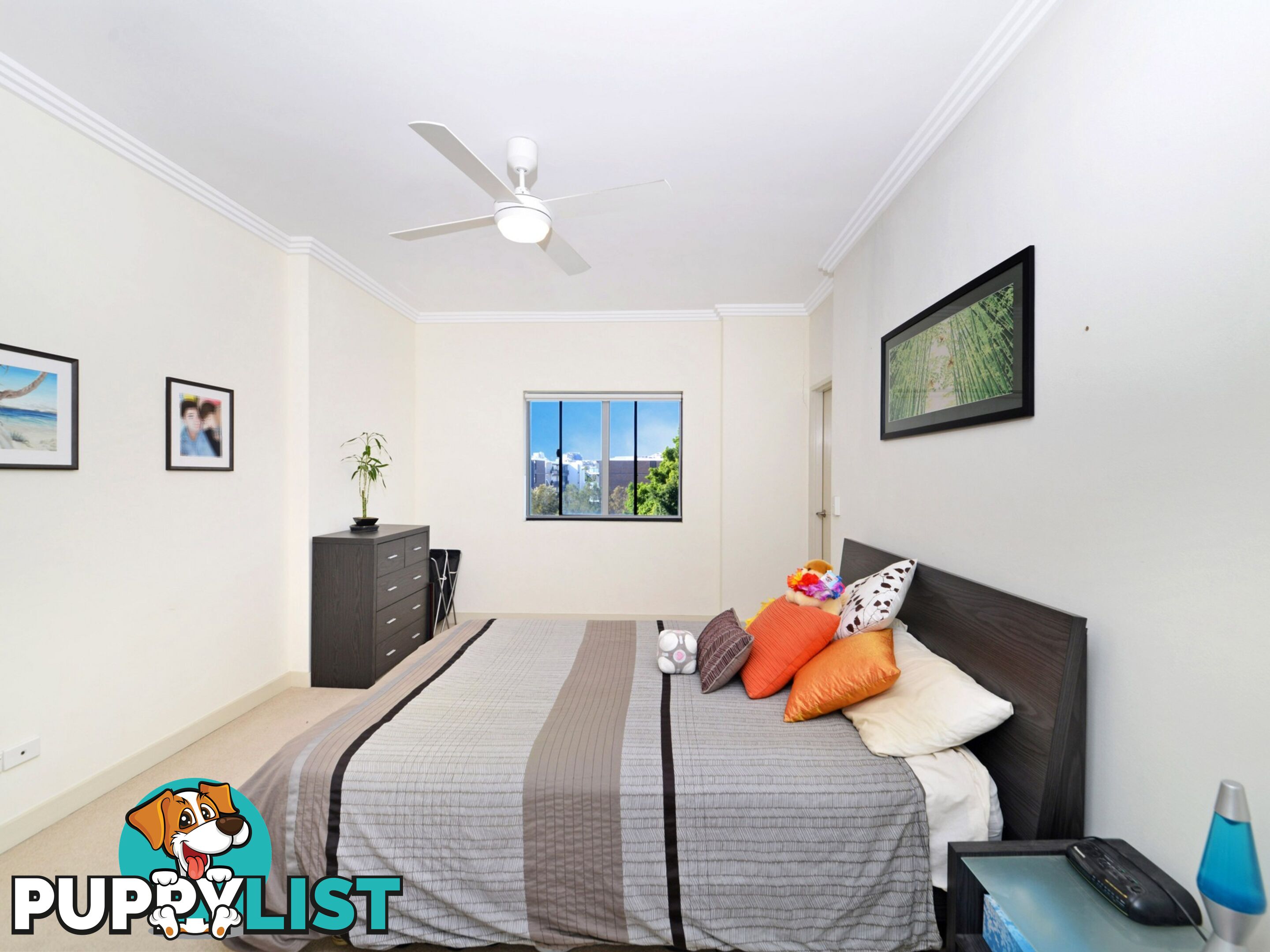 601/282-288 Botany Rd ALEXANDRIA NSW 2015